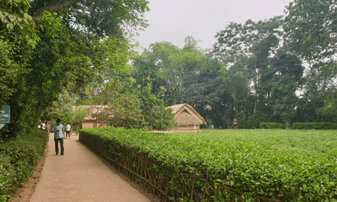 Kỷ niệm 129 năm Ngày sinh Chủ tịch Hồ Chí Minh: Nẻo về nguồn cội