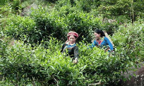 Không phai mờ giá trị văn hóa người Cờ Lao