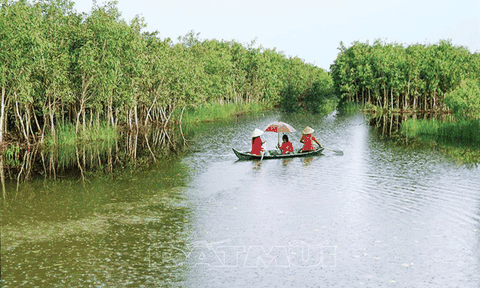 U Minh 40 năm - một sắc vóc đẹp tươi !