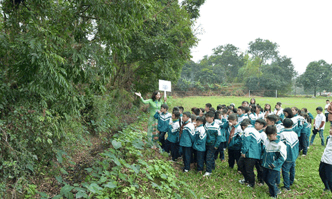 Gieo mầm tình yêu di sản