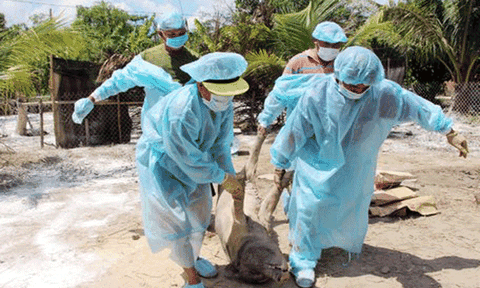 Vĩnh Long quyết liệt, khẩn trương dập dịch và khống chế dịch!