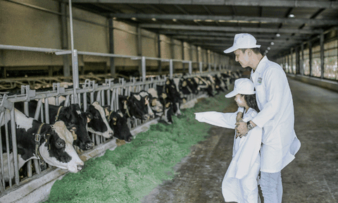 Diễn viên Mạnh Trường: “Tôi hoàn toàn bị thuyết phục khi khám phá hành trình sữa học đường”