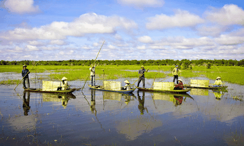 Về miền Tây, về với sông nước mênh mang