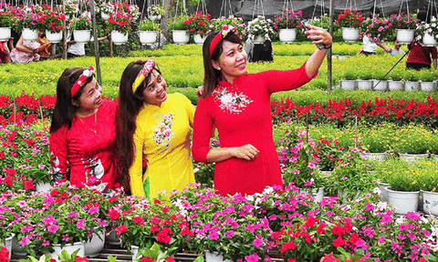 Đồng Tháp phát triển mạnh du lịch nông thôn