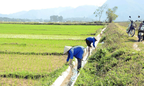 Tuyên Quang: Đấu thầu công khai, minh bạch