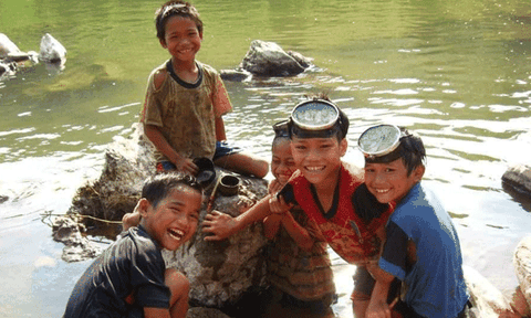 Nghệ An: Sẽ tổ chức Giải Bơi “Đường đua xanh ” cho các nhóm tuổi năm 2019