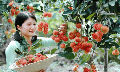 Nét bình dị con người miền Tây sông nước