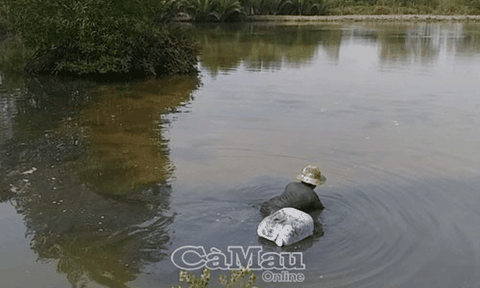 “Đệ nhất” thụt lịch xứ Cà Mau 