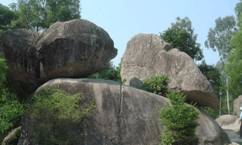 Đọc “Trống Mái” - một thoáng về Đinh Ngọc Diệp