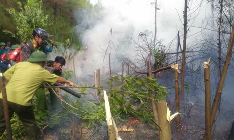 Hà Tĩnh: Hàng trăm người tham gia chữa cháy rừng tại Hồng Lộc