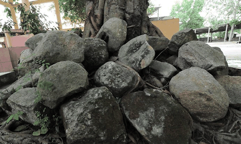 Huyền bí đồng đá nổi ở An Giang