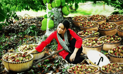 Cần Thơ - Nét duyên thầm của vùng đất Phương Nam