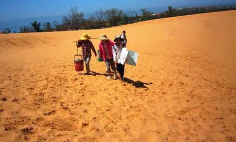 Những đứa trẻ trên đồi cát bay!