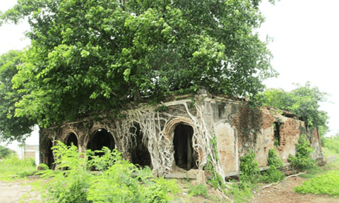 Đình Tân Đông đứng trước nguy cơ thành phế tích