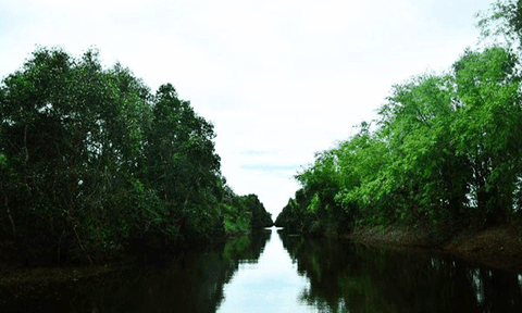 Mênh mang sông nước tuyệt đẹp ở miền Tây