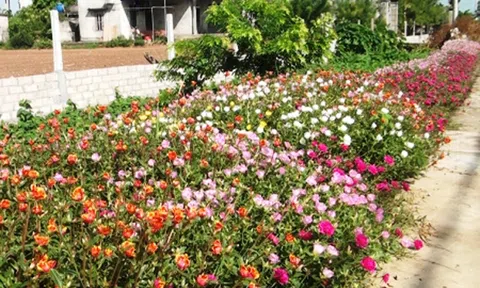 Xã Quảng Điền với phong trào làm đẹp giao thông nông thôn