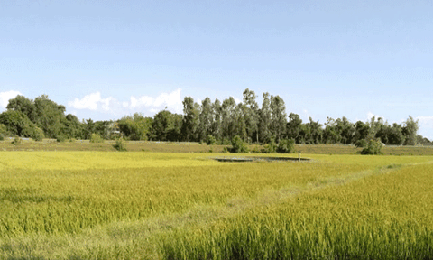 Hưng Đạo phát triển kinh tế - xã hội theo hướng nhanh, bền vững