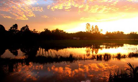 Đi qua đồng nước nổi