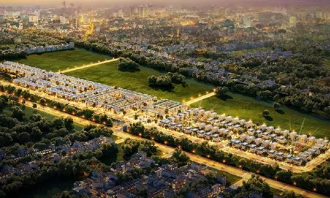 Xứ sen hồng vươn mình nhờ thương hiệu “Đồng Tháp – PCI”