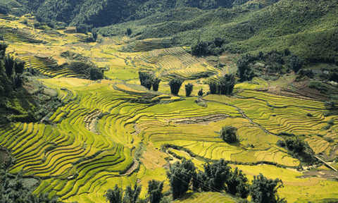 Lên Sapa ngắm pháo hoa, xem đua ngựa