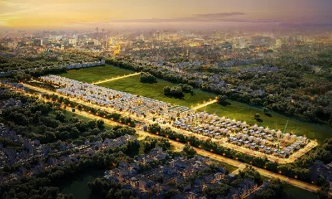 Xứ sen hồng vươn mình nhờ thương hiệu “Đồng Tháp - PCI”