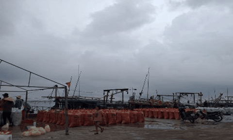 Ngư dân Hà Tĩnh vui mừng vì trúng “lộc trời”