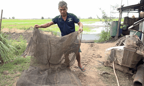 Người dân đồng bằng ngóng lũ