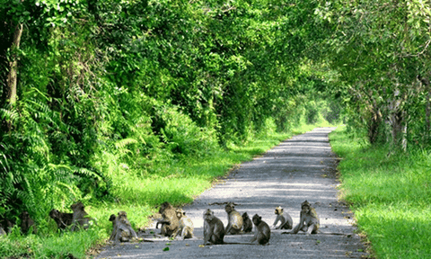 Vườn Quốc gia U Minh Thượng, nguồn lực phát triển du lịch sinh thái