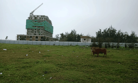 Nghệ An: Đoàn liên ngành kiểm tra gần 100 dự án chậm tiến độ 