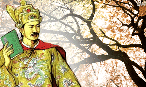 Loại hình tác giả song ngữ trong văn học Trung đại Việt Nam