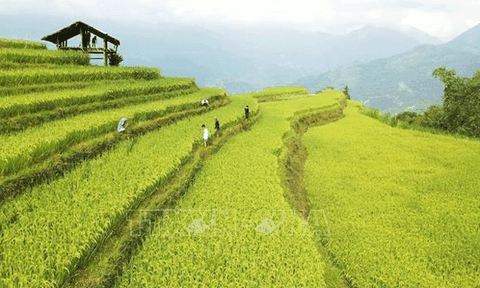 Hướng tới phát triển du lịch bền vững ở Hoàng Su Phì