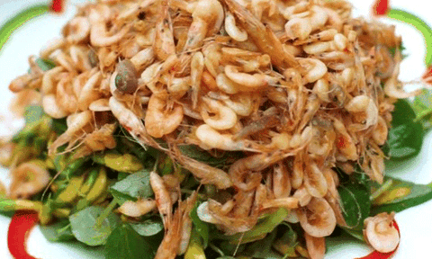 Về miền Tây ăn gỏi tép đồng bông điên điển