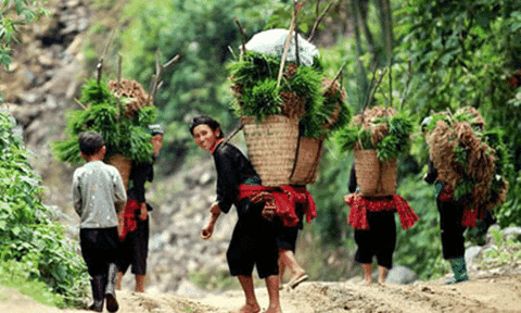 Tâm thức rừng của người Tây Nguyên