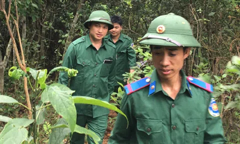 Tuyên Quang: Lâm Bình nỗ lực làm giàu vốn rừng