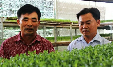 Xuân Thới Sơn vững bước trên đường xây dựng Nông thôn mới