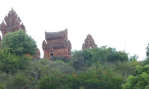 Thực trạng nghiên cứu chính sách du lịch và kinh nghiệm cho Việt Nam