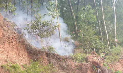 Nghệ An: Kịp thời khống chế cháy rừng tại xã Diễn An