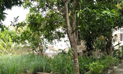 Quỳnh Thọ: Nhiều chỉ tiêu kinh tế - xã hội cán “đích” đề ra