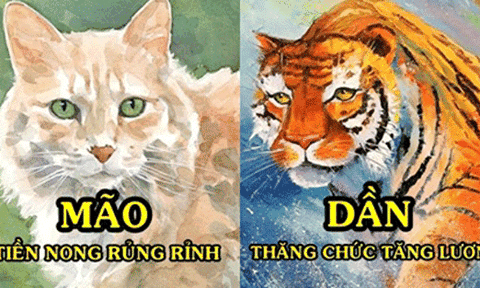 3 con giáp có đường tài vận dồi dào nhất năm 2020