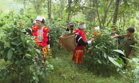 Na Hang thực hiện Chương trình mỗi xã một sản phẩm