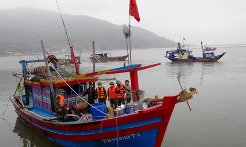 Hà Tĩnh: Bắt giữ tàu đánh cá sử dụng kích điện đánh bắt hải sản trái phép 