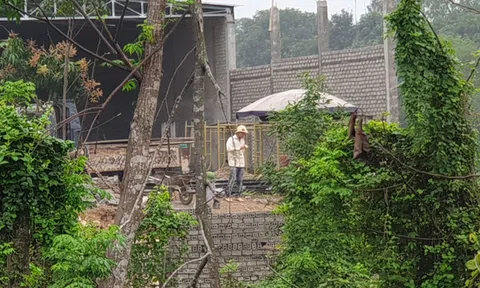 Vụ Xã Đô Thành “bảo kê” cho công trình “chui” xâm chiếm kênh Vách Bắc: Lãnh đạo tỉnh Nghệ An chỉ đạo xử lý