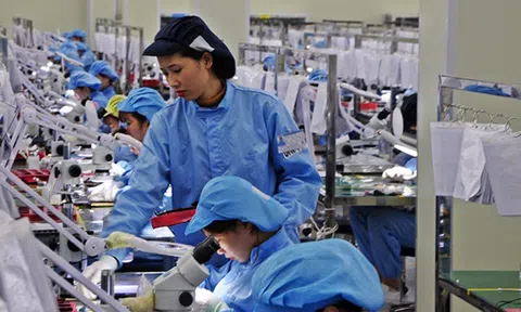 Vĩnh Phúc nỗ lực đưa chỉ số PCI trở lại top đầu