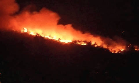 Nghệ An: Cháy rừng ở Diễn An, chính quyền và người dân đang nỗ lực dập lửa trong đêm