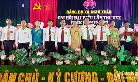 Đảng bộ xã Nghi Xuân: 5 năm phấn đấu và phát triển