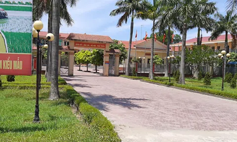 Xuân Viên: Kinh tế - xã hội phát triển hiệu quả, bền vững