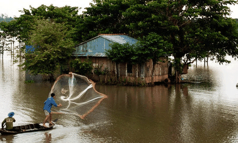 Khai thác giá trị mùa nước nổi vào hoạt động du lịch ở Đồng Tháp