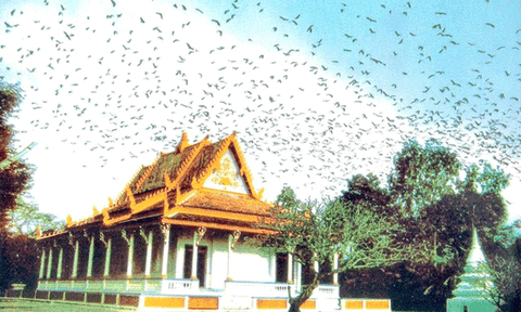 Về Sóc Trăng để trải nghiệm sức hấp dẫn từ vùng đất đến con người