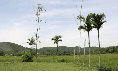 Khám phá sự tích về ngôi đền Ba Dùi ở Thanh Chương