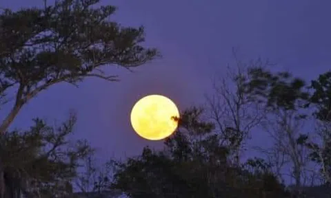 Giới thiệu bài thơ "À ơi cõi tạm" của Hà Thuỵ Như